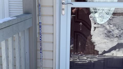 #sticksoutforteddy