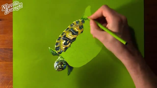 Draw The Pattern Color On The Tortoise Shell