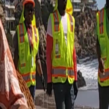 Corona Del Mar Photobombers