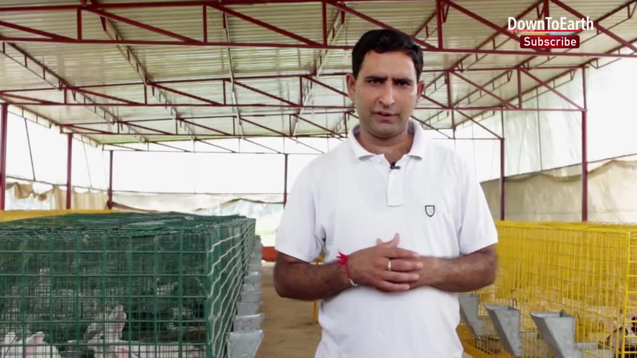 Rabbit farming is an emerging but profitable business