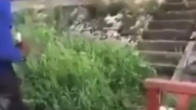 Man tries to cross the bridge drunk𤣠- Viral video