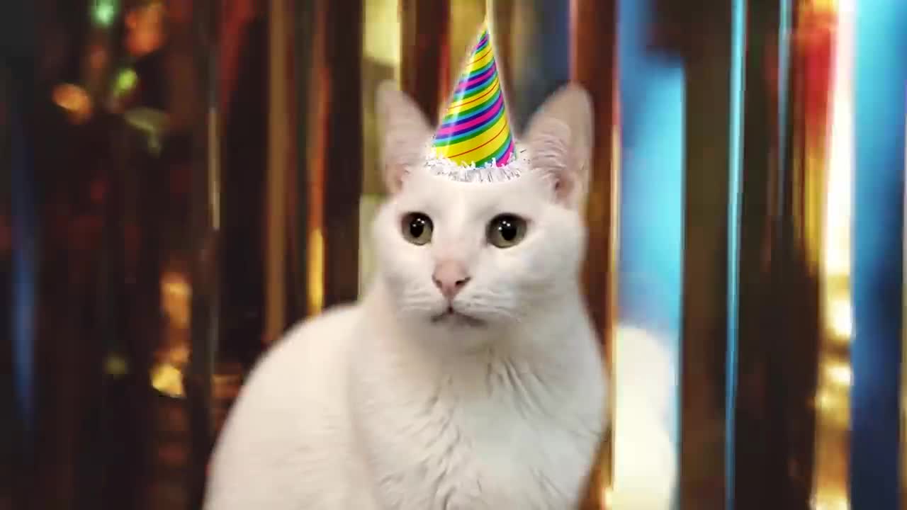 Happy Birthday To You by the Cats