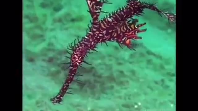 Time with God - June 8