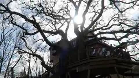 Amazing Luxury Treehouse ❣️💯🔝