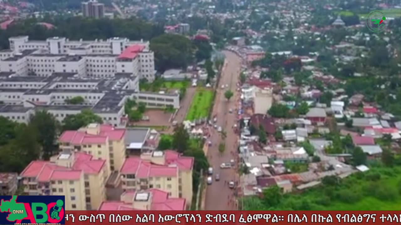 ህዳር 8፣ 2024 ONM-ABO እለታዊ የኦሮሞ ነፃነት ሰራዊትና የኦሮሚያ ውሎ!