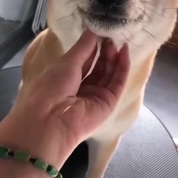 Sooo cute😍 🥰 😘