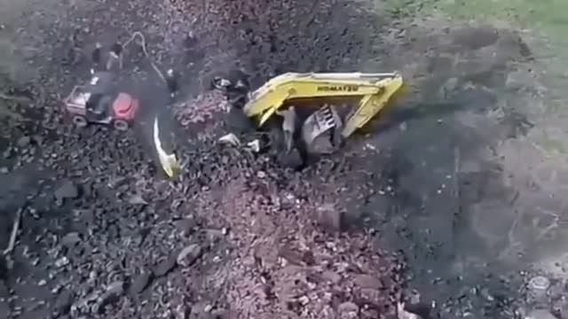 Top viral video