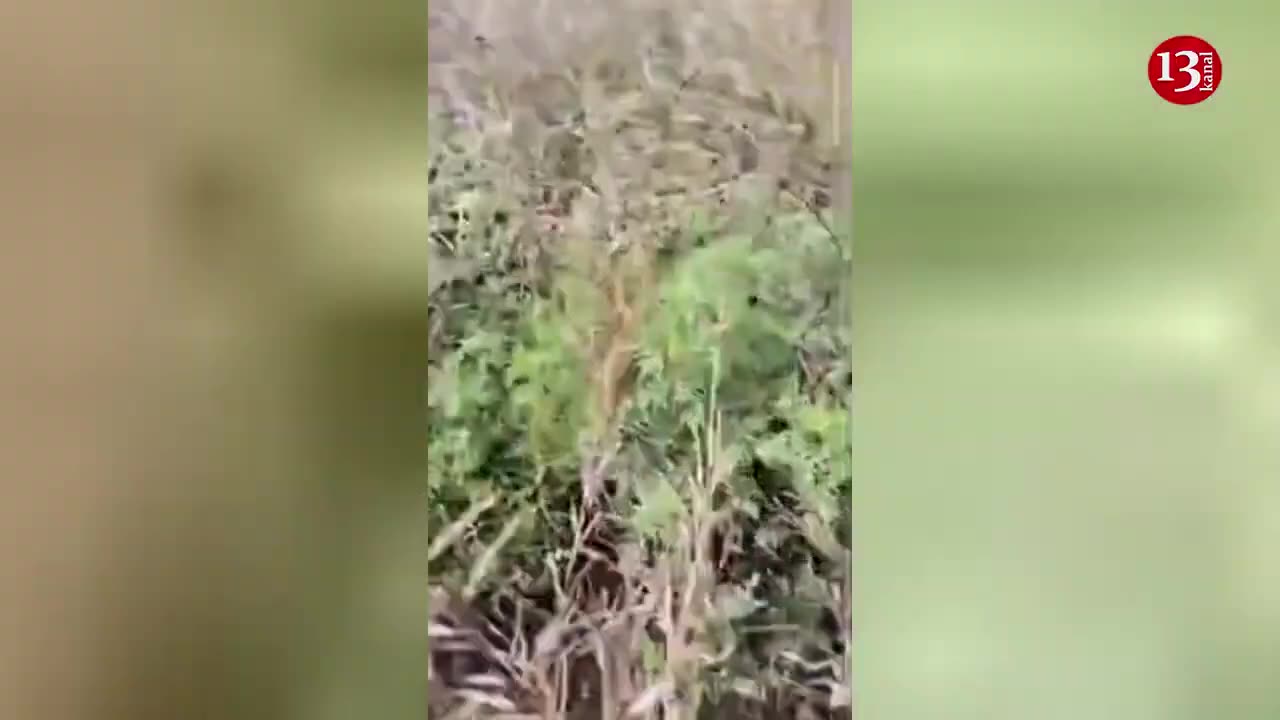 Ukrainian soldiers show Russians’ abandoned trench and the mined areas