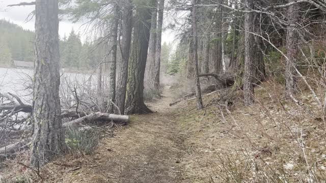 Shoreline Trail Hiking Around Suttle Lake – Central Oregon – 4K