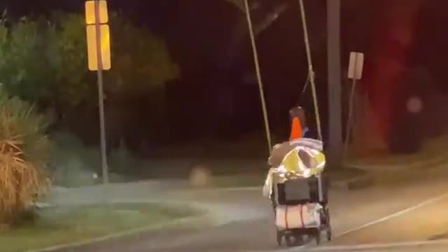 Man Pushes Peculiar Cart Carrying Two Tall Trees