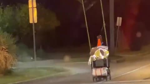 Man Pushes Peculiar Cart Carrying Two Tall Trees