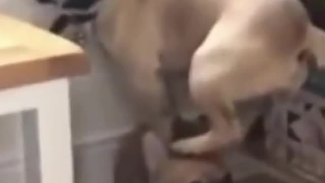Get down!
