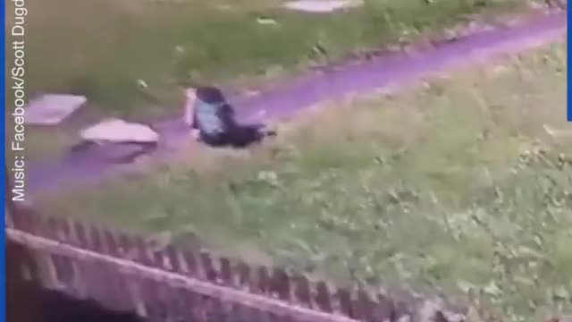 Hopefully they're okay after that shock