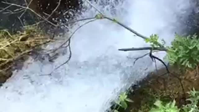 Natural Video In My Picnic - Slow Motion