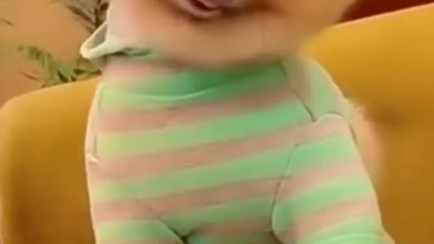 Funny and Cute Dogs Videos Compilation455shortS baby dogs