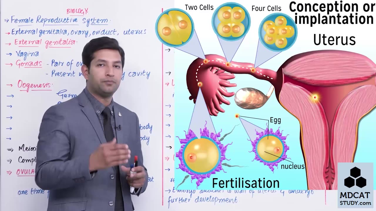 LEC#8 FEMALE REPRODUCTIVE SYSTEM