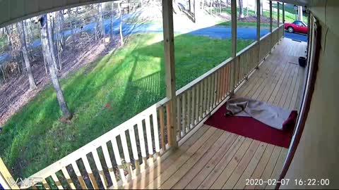 Review: Wyze Cam 1080p HD Indoor WiFi Smart Home Camera with Night Vision, 2-Way Audio, Works w...