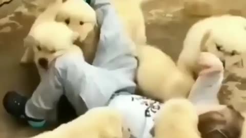 A boy enjoy ,dog puppy ke sath