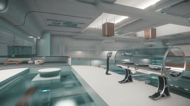Star Citizen Subscriber Flair 16 - Takuetsu Starfarer model