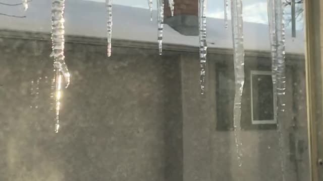 Sunny Icicles in Manitoba