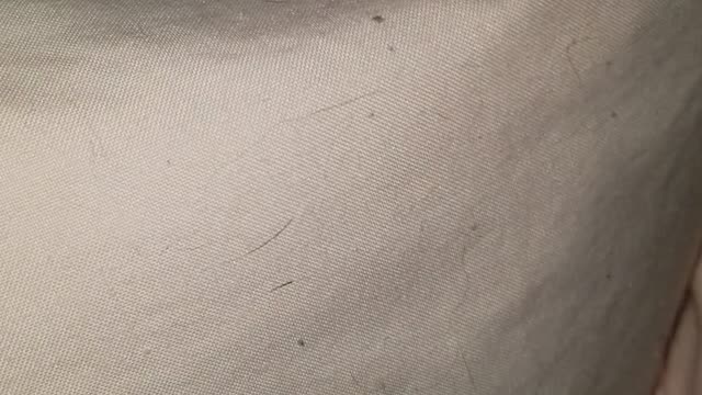 What Was The Point Of Yesterday?