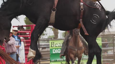 Delisle Rodeo Day 3