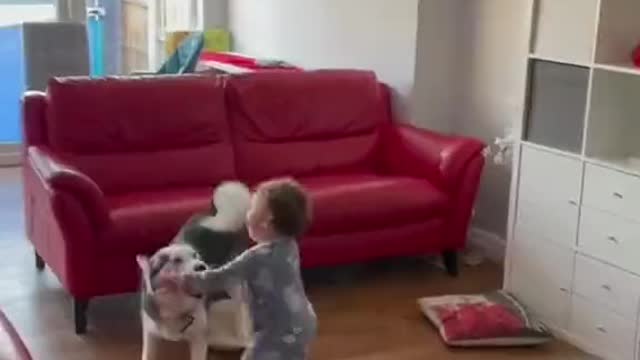 THE DOGS ARE BEST FRIENDS...