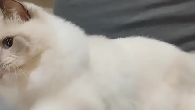 It's his time to play.. Please play !
