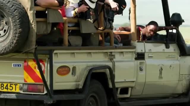 move in silence | #Animals #short #video #wildlife