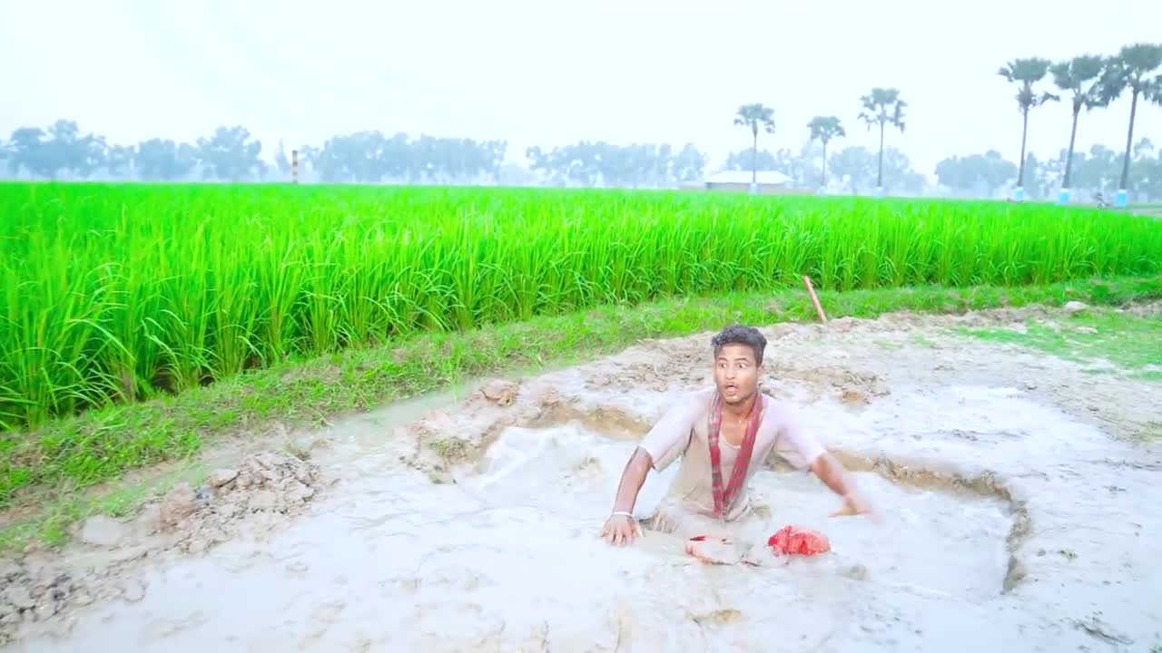 Amazing funny video, Indian videos thankyou..