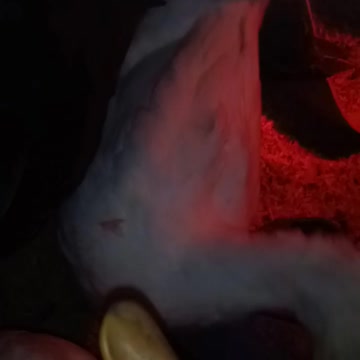 A another day in the morning