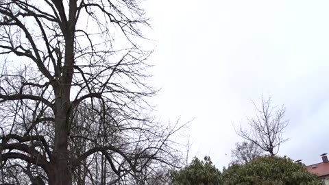 Donationskyrkogården med familjen Bancks mausoleum. Helsingborg 2 Mars 2017