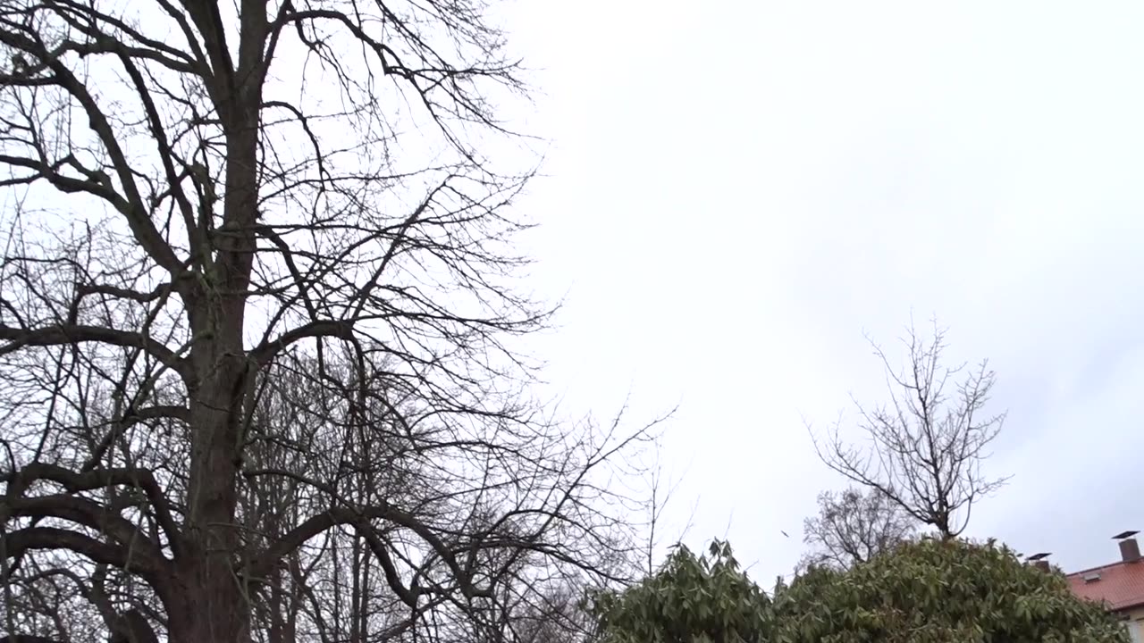 Donationskyrkogården med familjen Bancks mausoleum. Helsingborg 2 Mars 2017