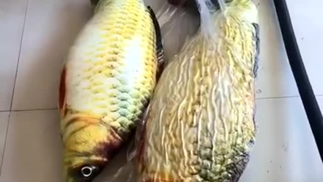 SatisFying Mix#SatisFying Video