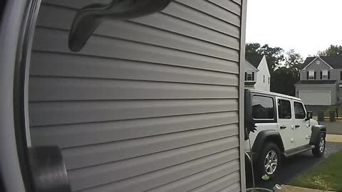 Doorbell Camera Captures Unwelcome Visitor