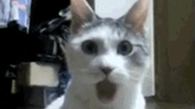 Cuando te asombras