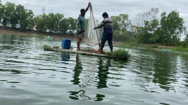 Fishing with net 🎣