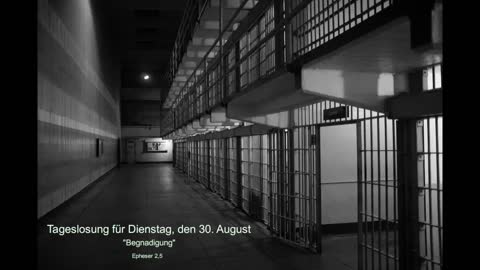 Tageslosung für Dienstag, den 30. August