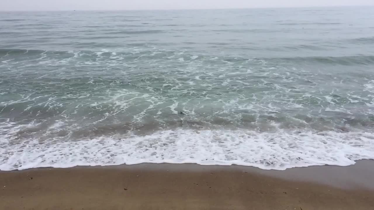 The wavy sea