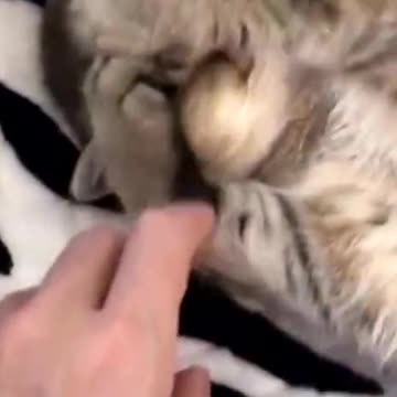 Don't break me, I'm sleepy