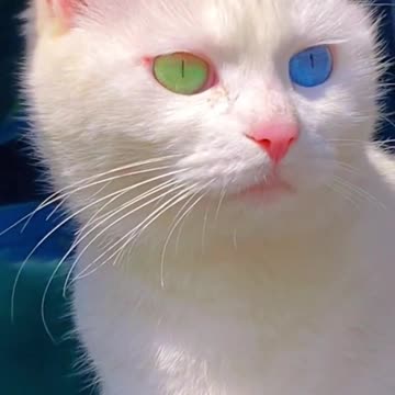 So beautiful eyes🥰