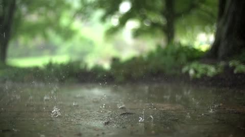 Sounds of rain in the forest sound and healthy sleep