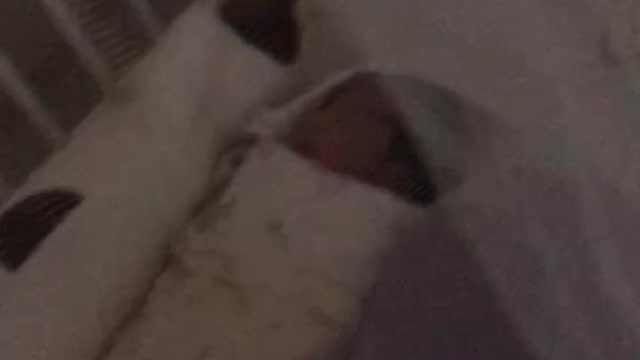 My lovely baby, a week old.