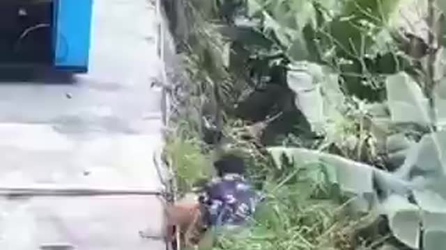 Hahaha, drunk?