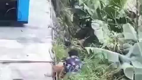 Hahaha, drunk?
