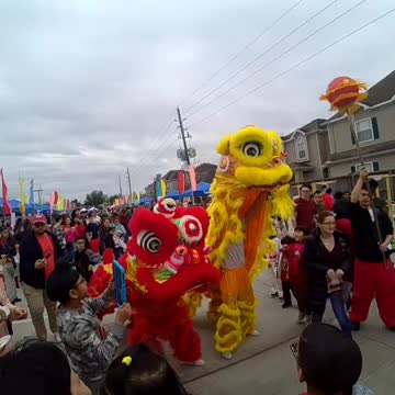 Chinese new year dance