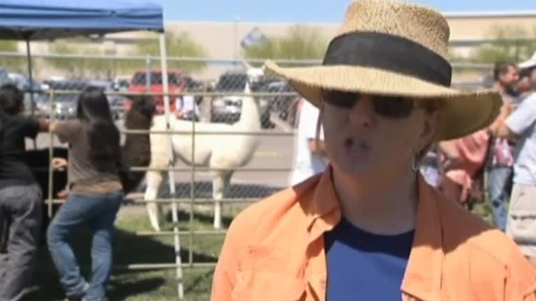 Complaint prompts llama drama in Arizona