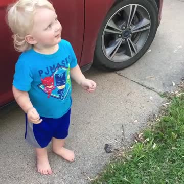 Grandson's first time seeing a fish with teeth.