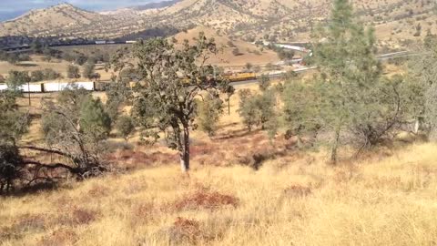 Tehachapi Loop Eastbound UPSP Train November 2018