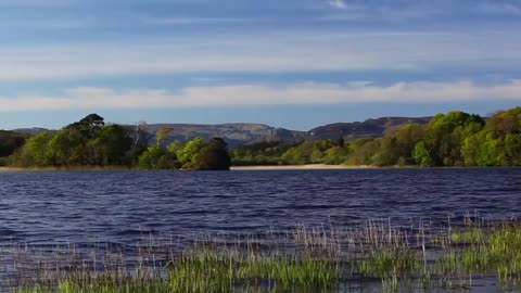 Birds Singing Forest Sounds Relaxing Nature Sounds Lapping Water Sound